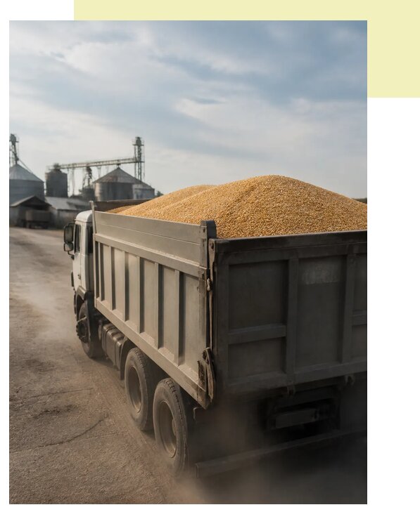 Перевозка сельхозпродукции навалом в Курган по цене от 3093 р. | Агросервис-Крг