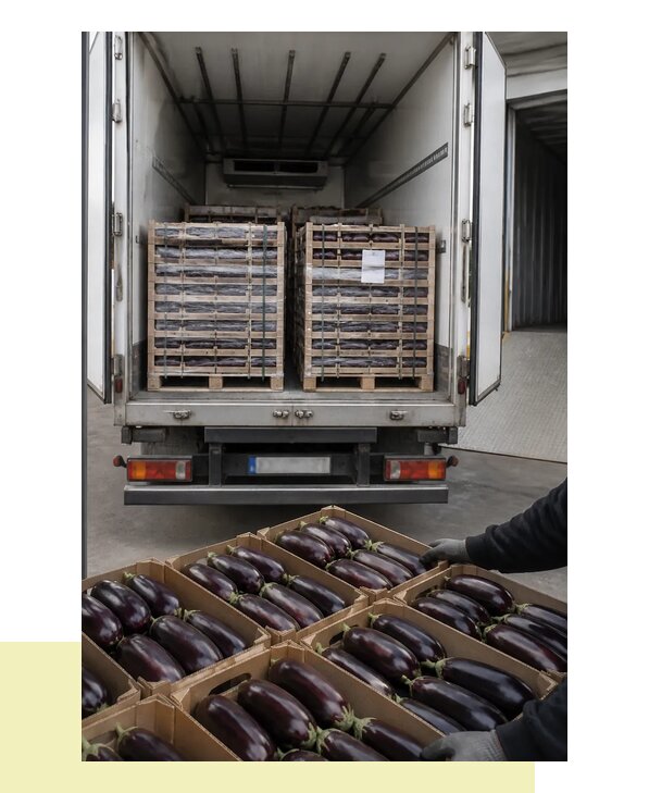 Перевозка баклажанов в Курган с соблюдением температурного режима